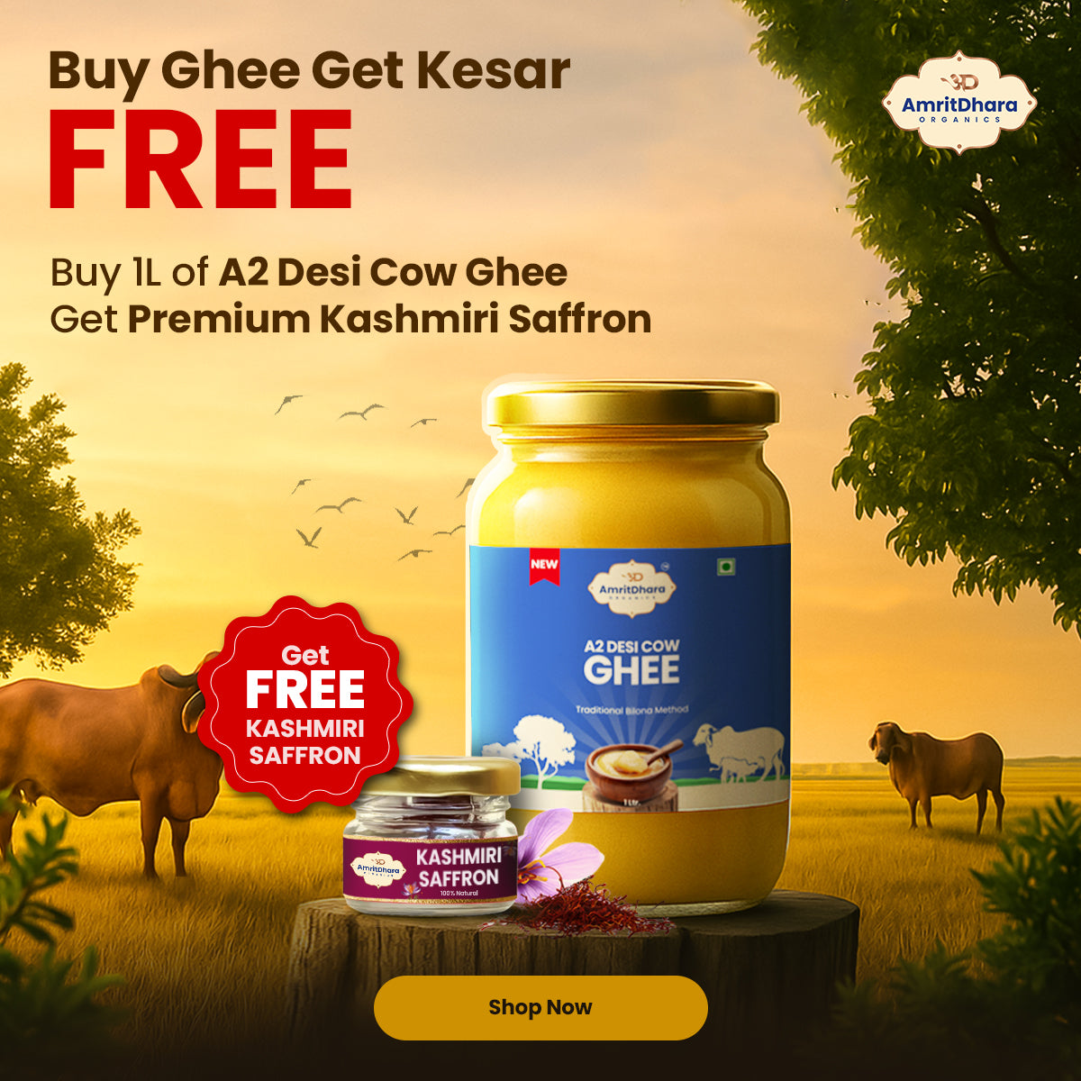 A2 Pure Desi Cow Ghee (Bilona method)