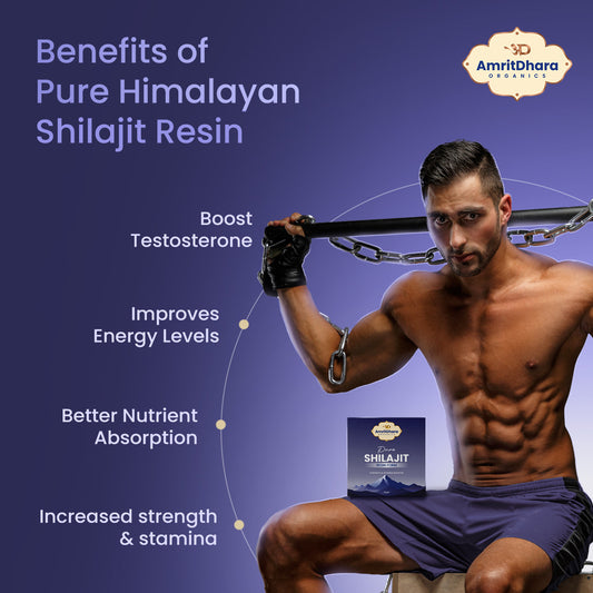 Himalayan Shilajit – Natural Resin (100% Pure)